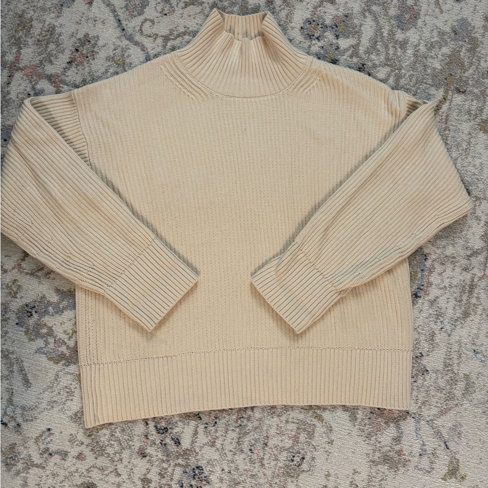 Everlane Cotton Turtleneck  M